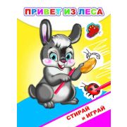 Раскраска-невидимка серии «СТИРАЙ И ИГРАЙ» Привет из леса 16х22 см.