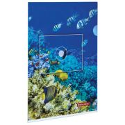 Папка-уголок BRAUBERG «SEA WORLD», А4, 150 мкм, цветная печать