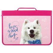 Папка для труда на молнии BRAUBERG А4 с ручкой, 1 отделение, картон, органайзер, «Samoyed»