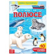 Наклейки многоразовые «Кто живёт на полюсе», 40 наклеек
