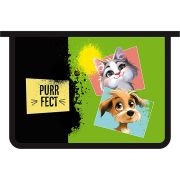 Папка для тетрадей 1 отделение на молнии А4 «PURRFECT», пластик