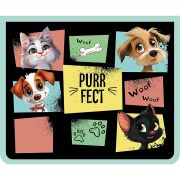 Папка для тетрадей 1 отделение на молнии А5 «PURRFECT», пластик