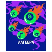 Тетрадь предметная 48л. BG «Неоновые истории» - Алгебра, неоновая краска