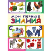 Книжка для обучения «Мои первые знания»