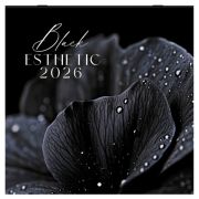 Календарь настенный перекидной 2026 г., BRAUBERG, 12 листов, 28,5х28,5 см, «Black esthetic»